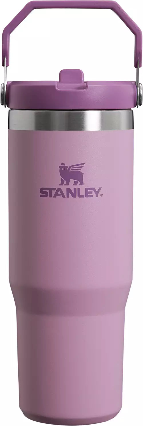 E4UStanley IF Engraved Tumbler